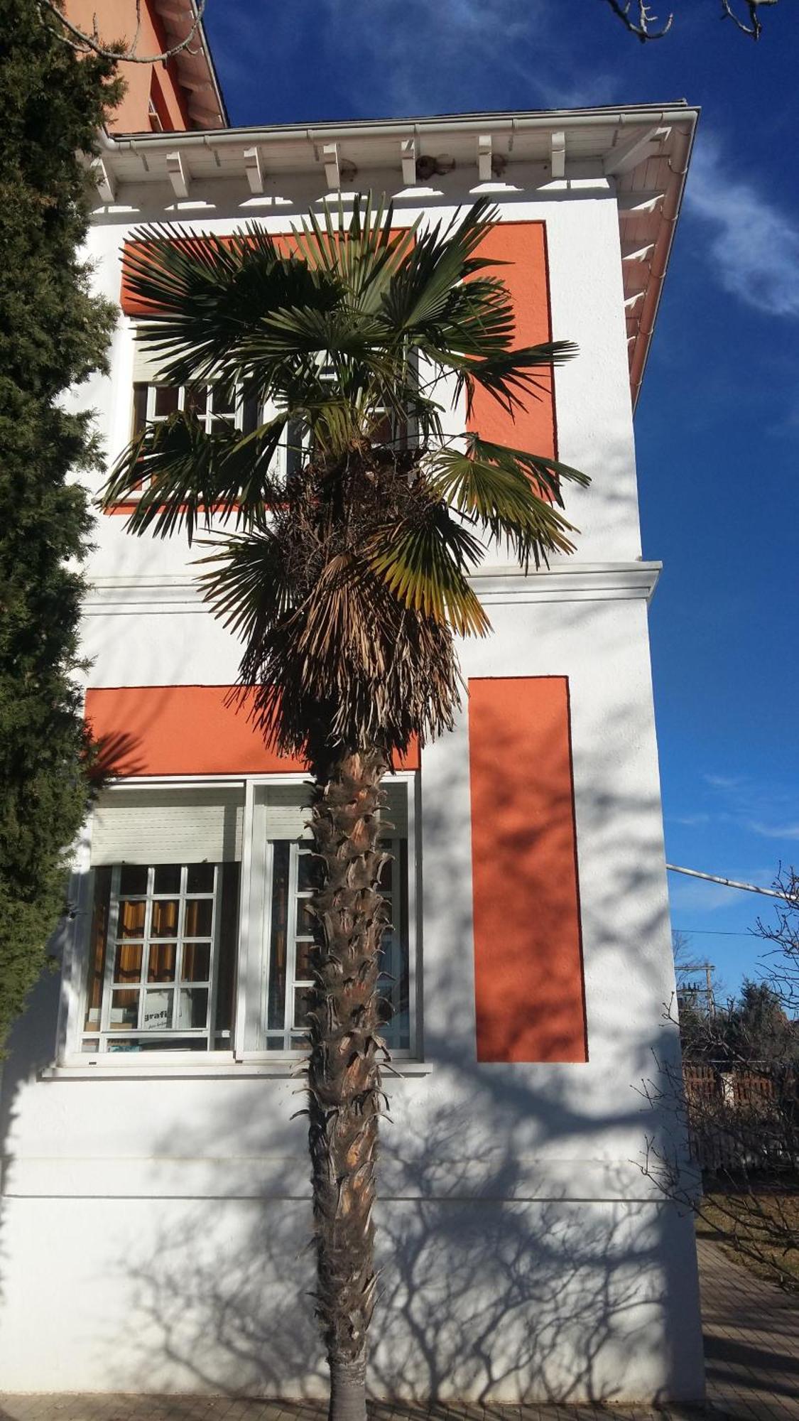 Villa La Casa Grande de Quintanas de Gormaz Exterior foto